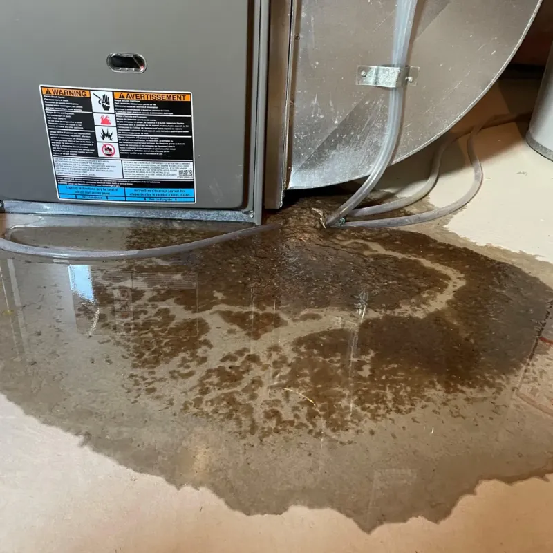 Appliance Leak Cleanup in Miami, TX