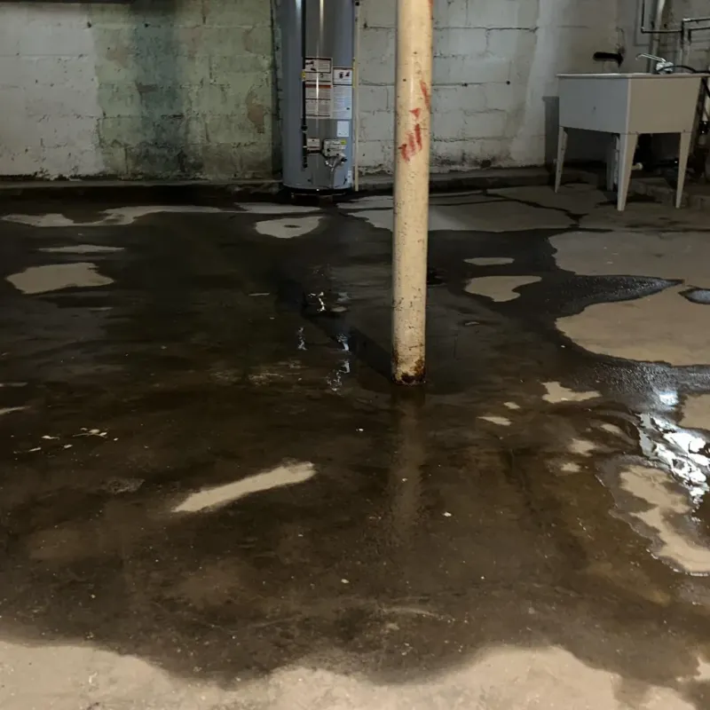 Emergency Water Extraction And Removal in Miami, TX